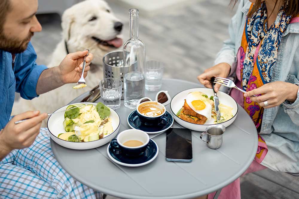 pet in the restaurant of Dubai