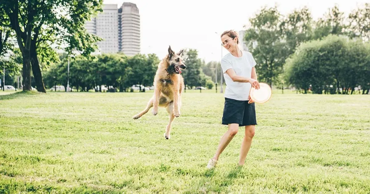 Pet Friendly Park Dubai