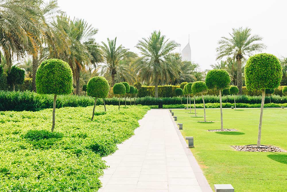Kalba Graden All About the Hanging Garden in Kalba, Sharjah