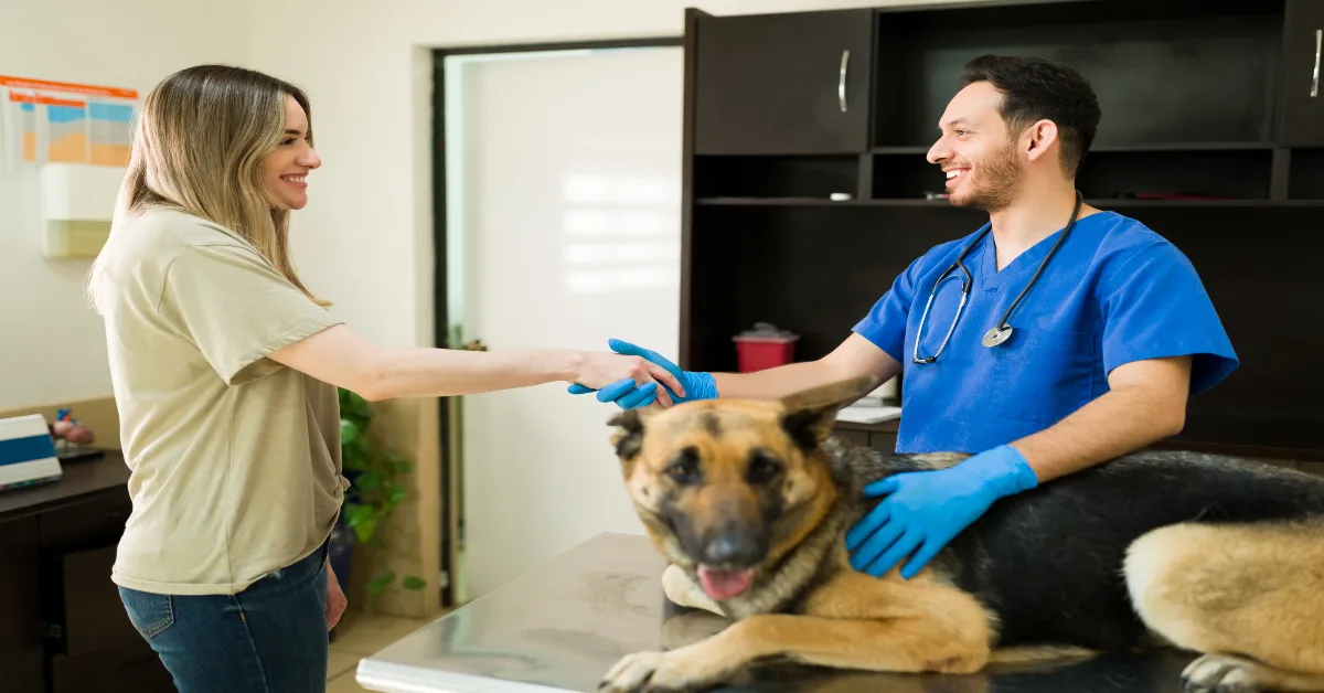 Pet owner shaking hands with vet