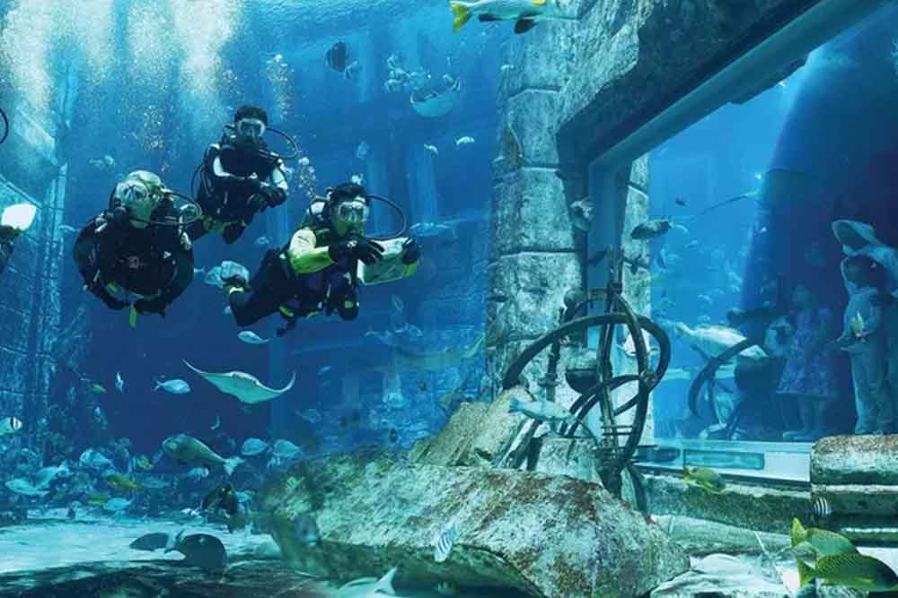 obtaining a padi certification