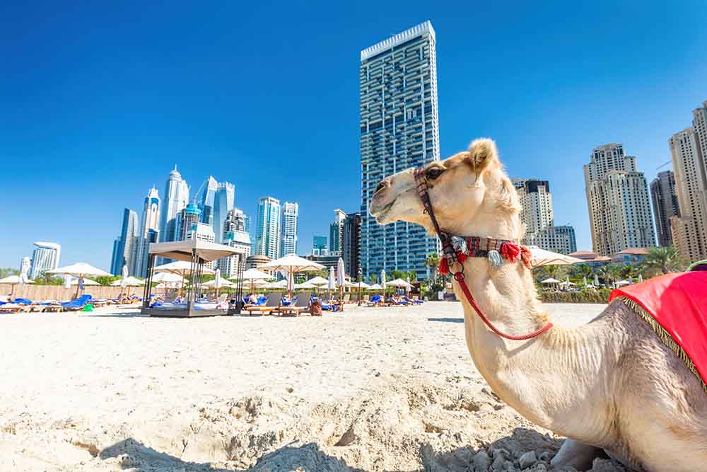 Luxury beachside amenities in Dubai