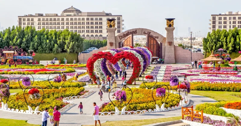  Dubai Miracle Garden
