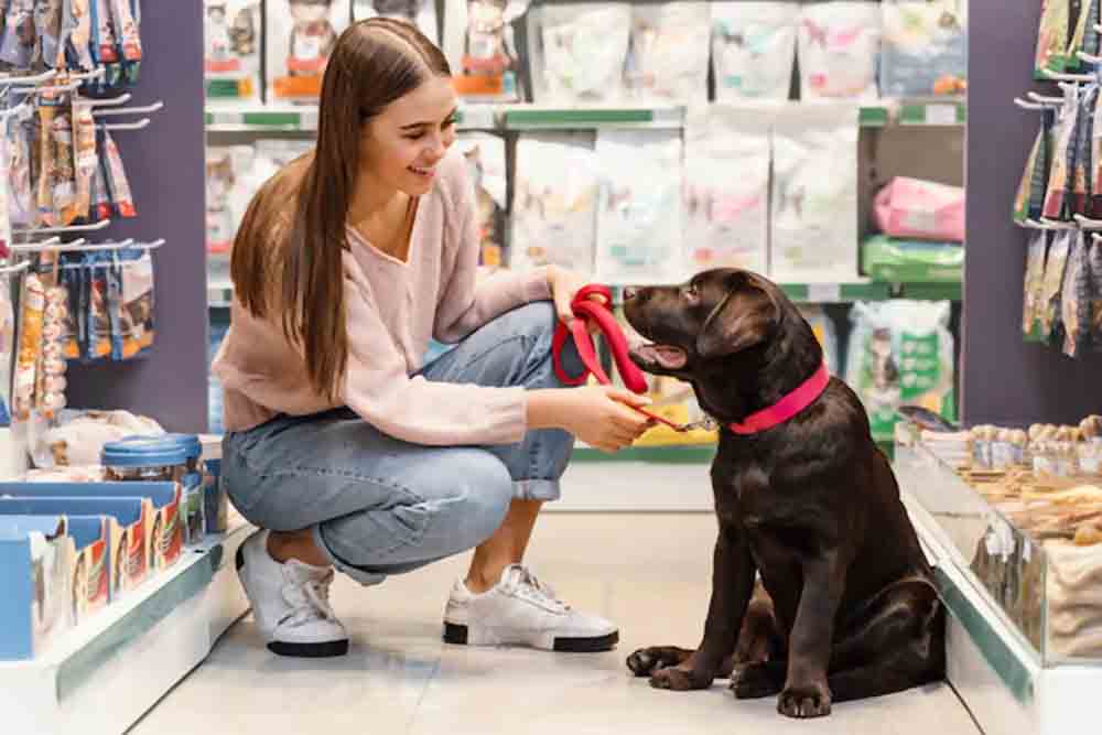 Stores that sell pet supplies hotsell