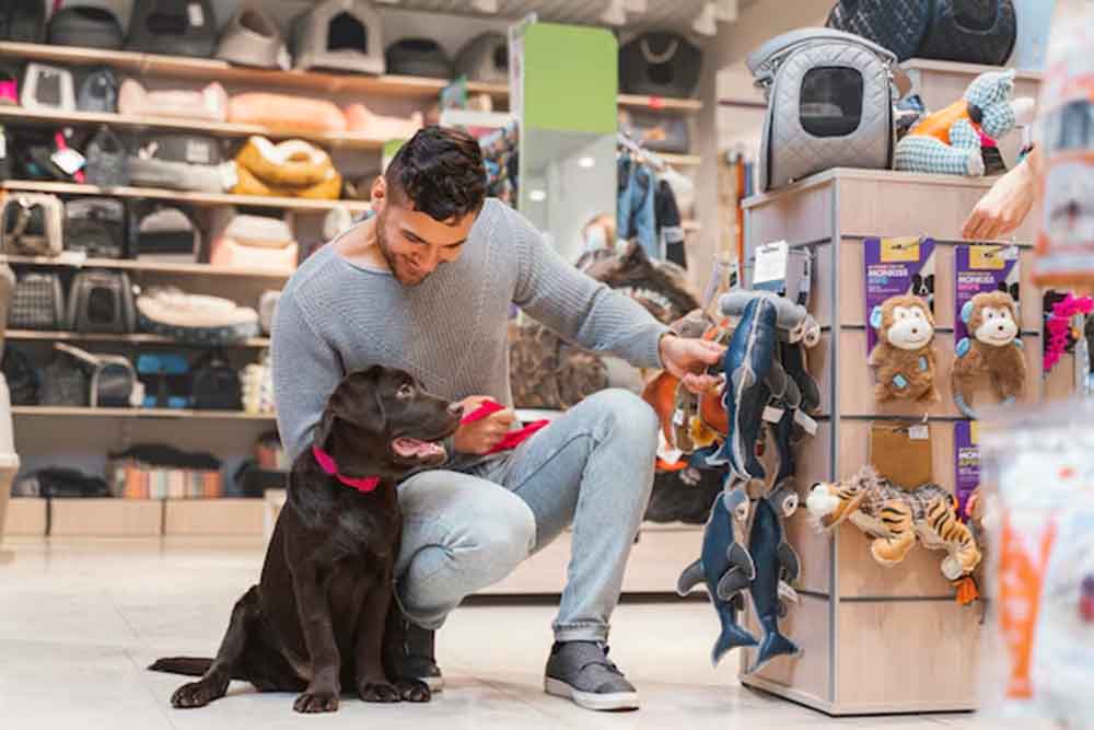 Dog With Pet Owner