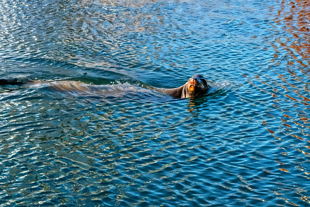 Water Activities