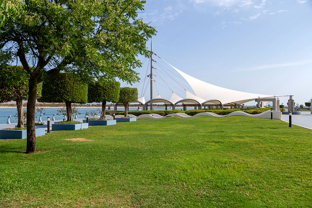 waterfront view of a park 