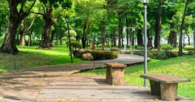Al Manakh Park, Sharjah: A Family Guide to Facilities, Timings, and Life Nearby
