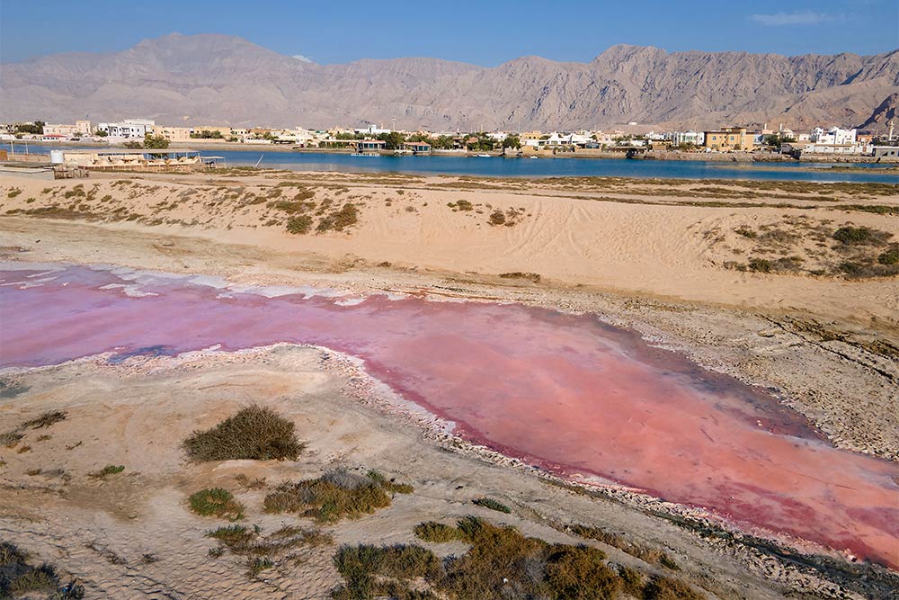 Pink Beach Rak All About Pink Lake Ras Al Khaimah