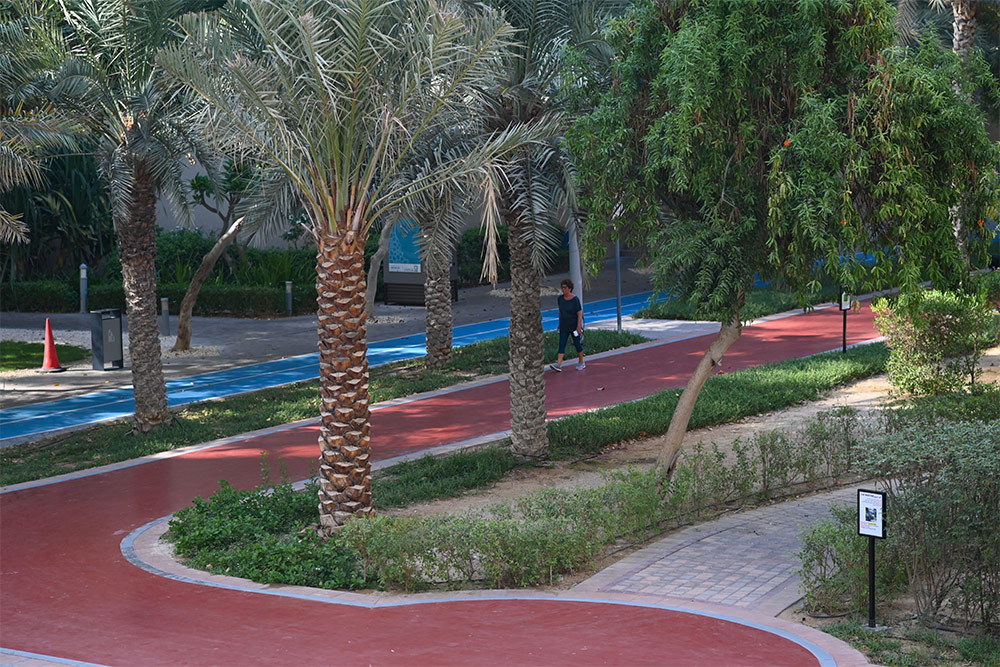 Park at Wadi Al Shabak