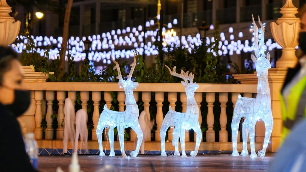 Winter Garden Dubai
