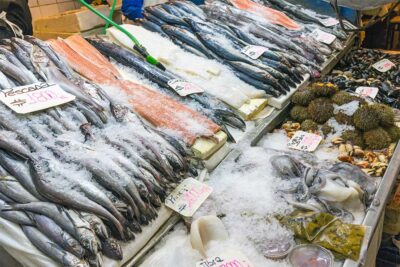 Umm Al Quwain Fish Market