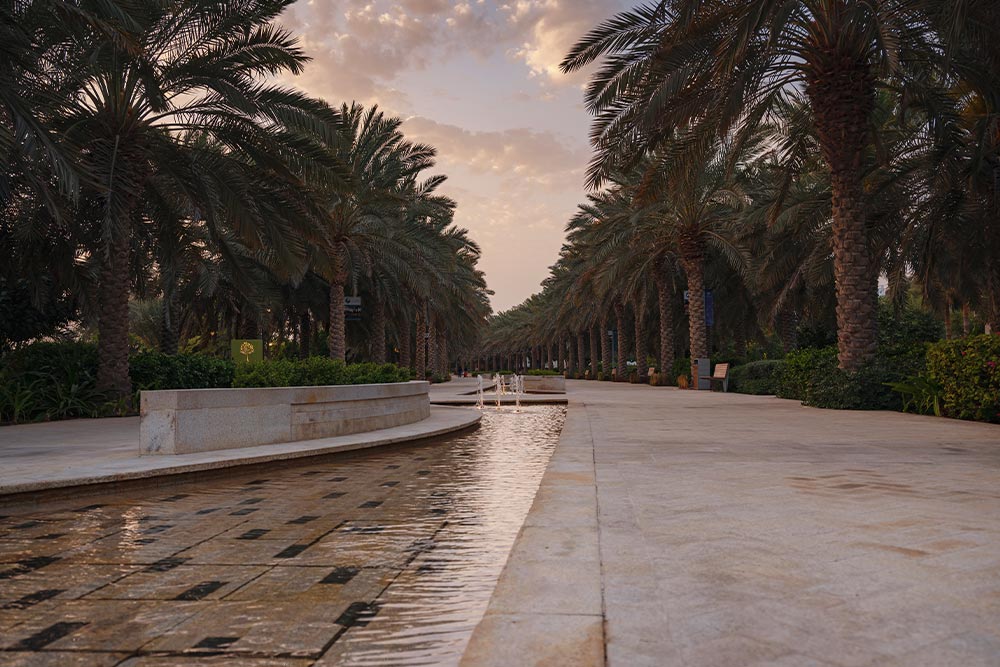 حدائق المنتزه