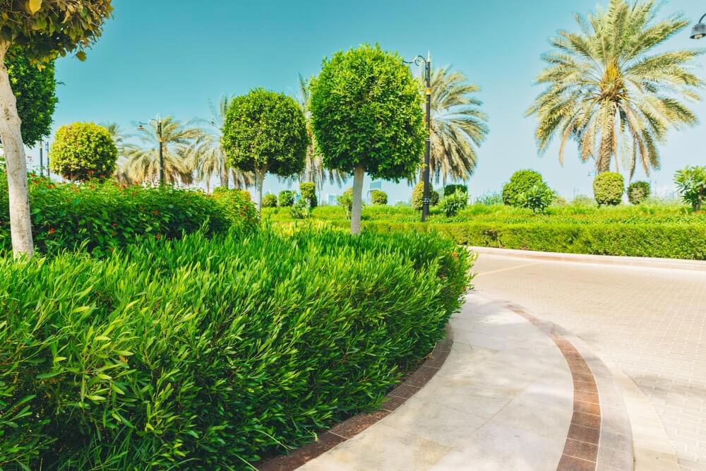 حدائق أبوظبي للسيدات في ابوظبي