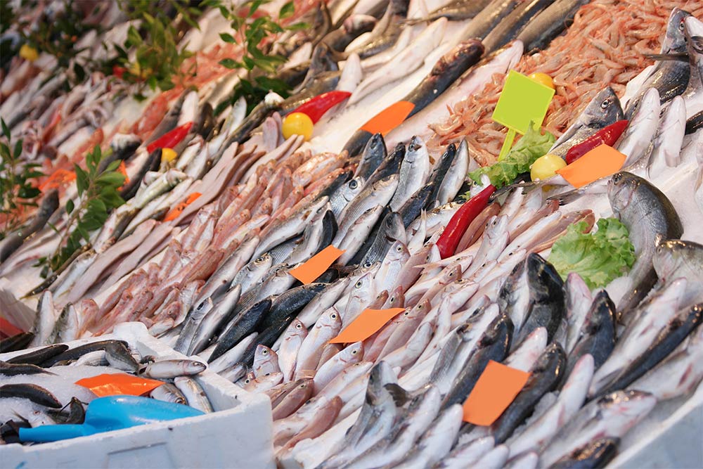 Fresh Fish in market