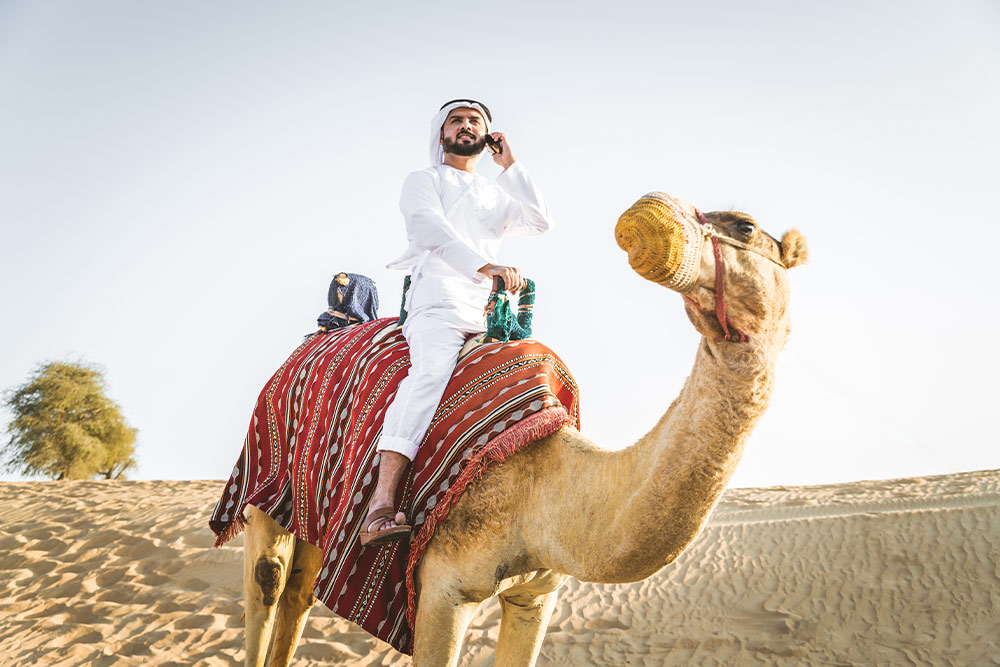 Riding Camel in Abu Dhabi