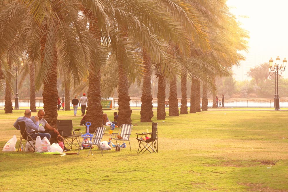 Picnic spot in Maysaloon Park Sharjah