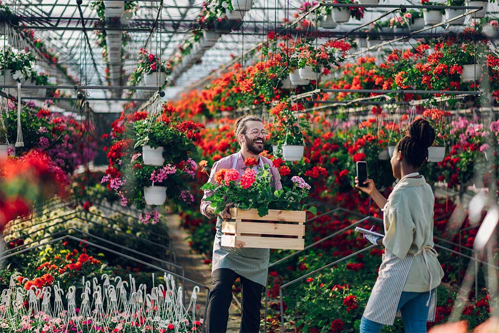A couple taking pictures at the UAE Flower Farm