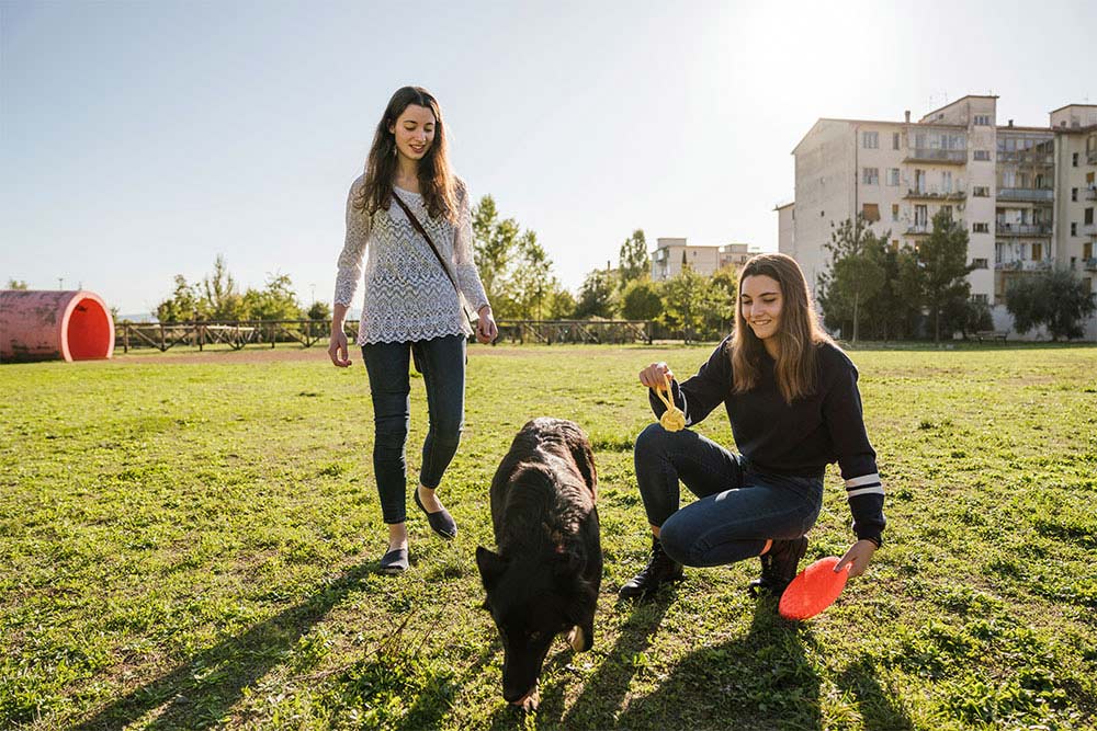 best Dog-Friendly Communities to Rent in Abu Dhabi 