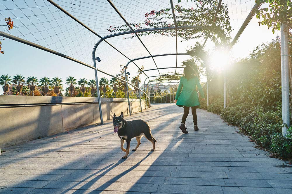Girl with her dog in a park