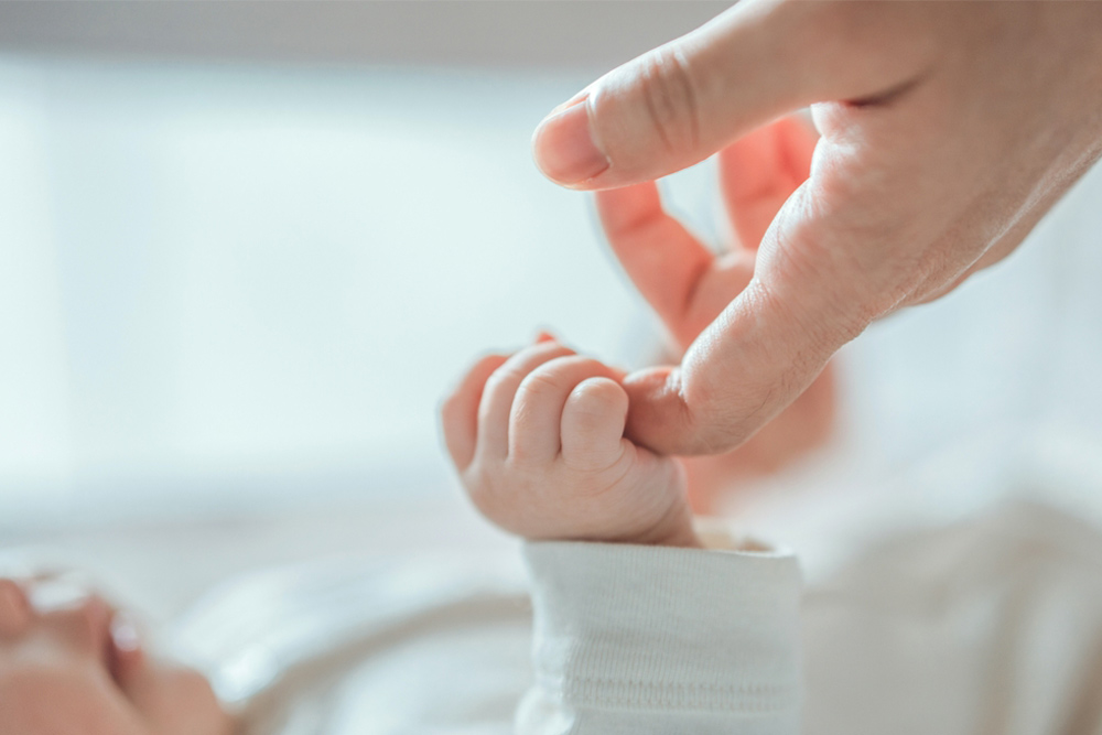 دليل إصدار شهادة ميلاد في الامارات