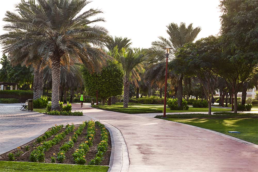 Walking and Jogging path in a park