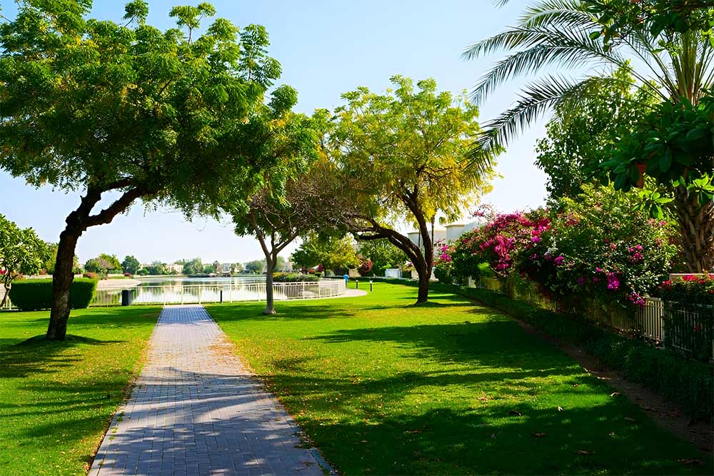 The green landscape of Green Community in Dubai