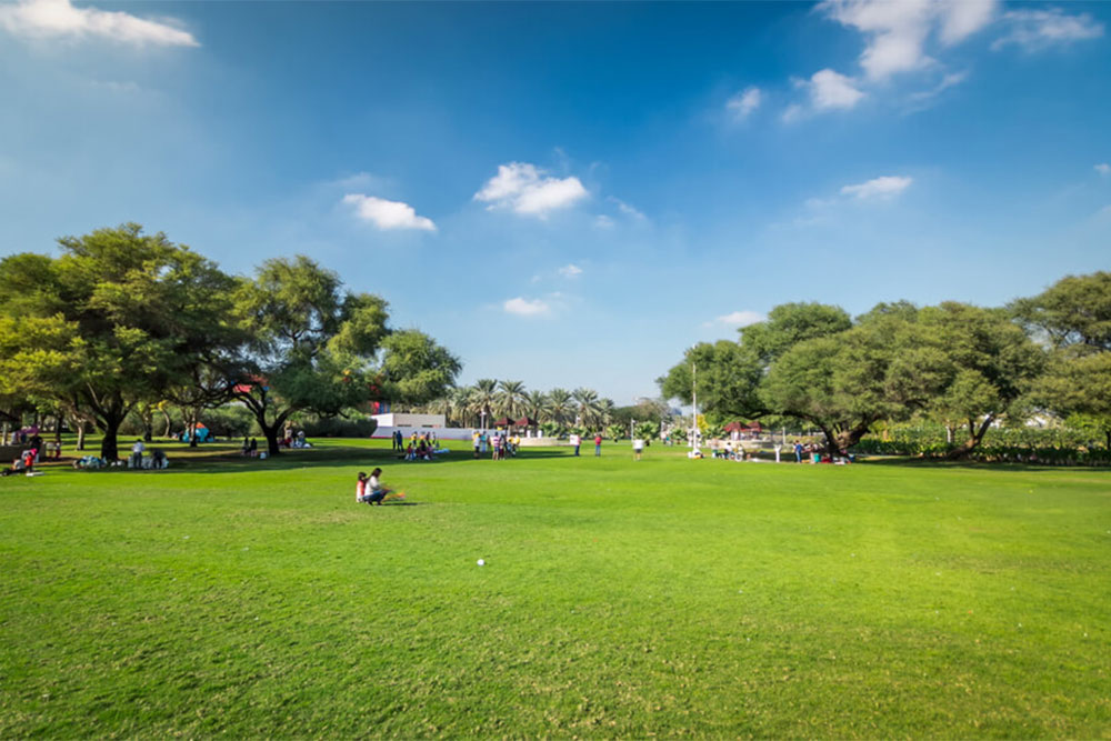 منتزه الوثبة في ابوظبي