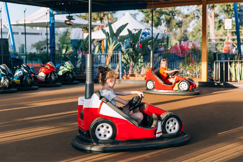 Bumper Cars