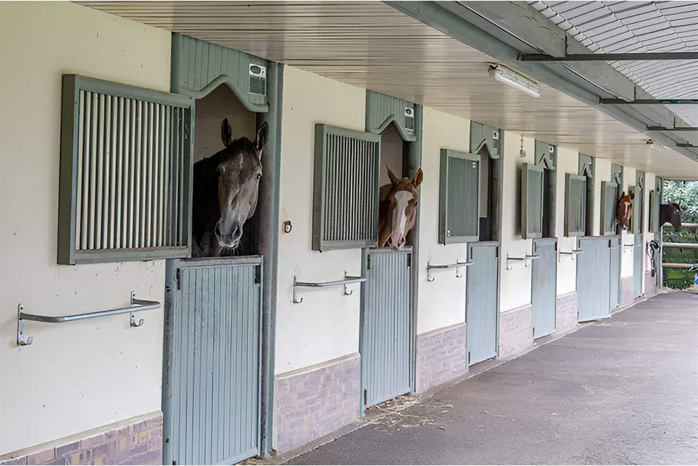 Horse Stabling & Livery in SERC