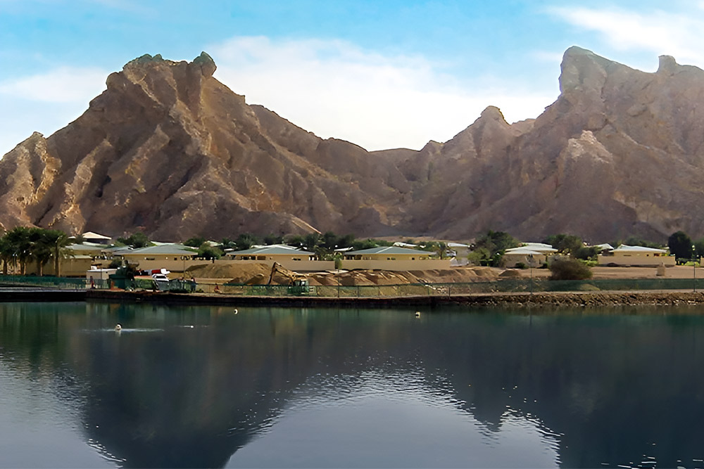Green Mubazzarah Lake