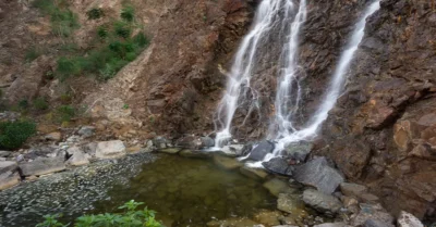 وادي الوريعة