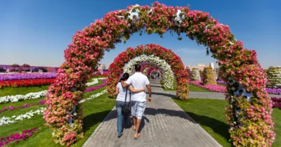 Things to do in Al Barsha, Dubai​
