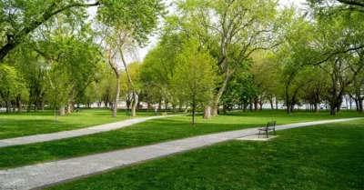 al fay park