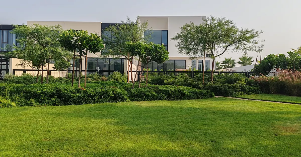 Contemporary Villas with Greenery