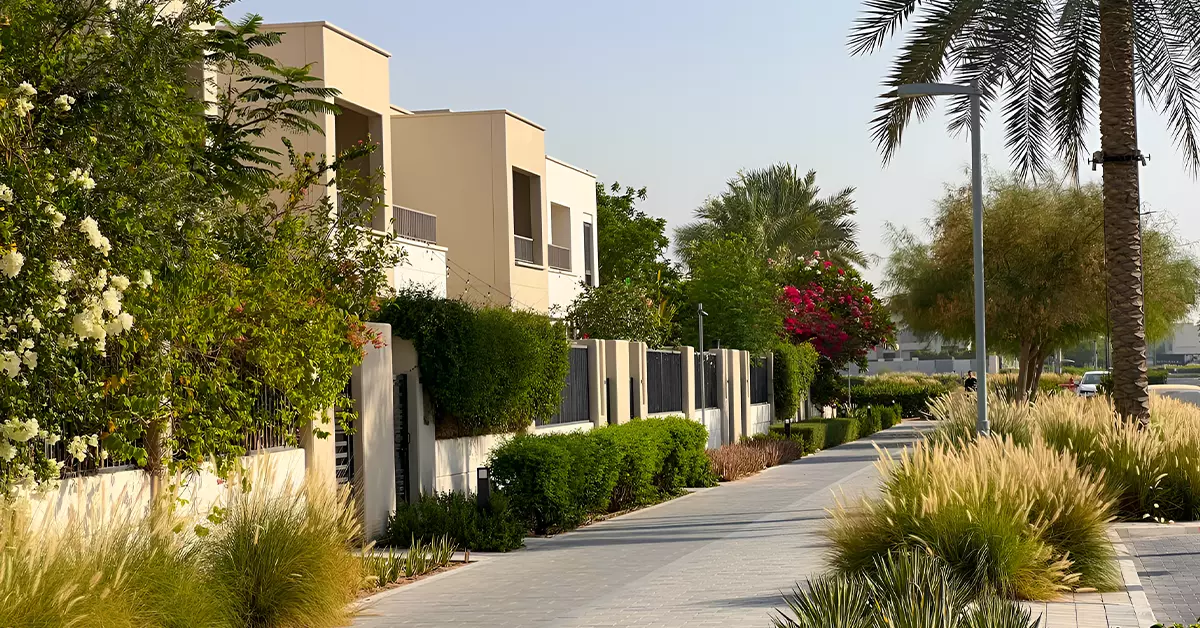 Green landscape of Town Square
