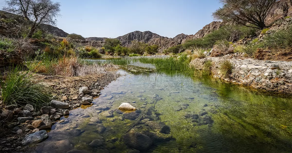 يمثل وادي الوريعة محمية طبيعية جميلة في الفجيرة 
