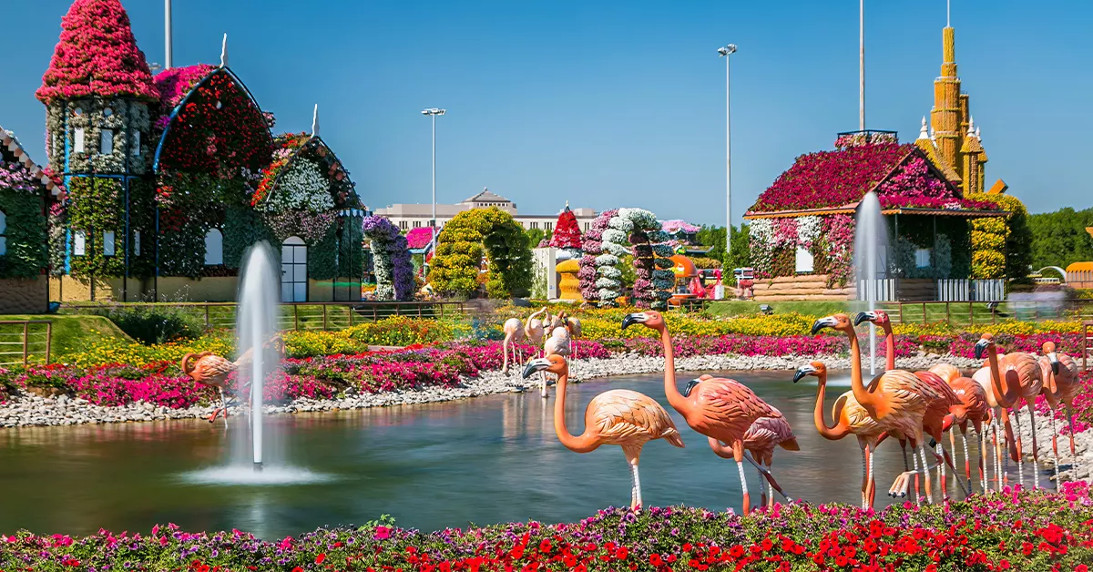 Visiting Dubai Miracle Garden is one of the top things to do in Al Barsha, Dubai​ 