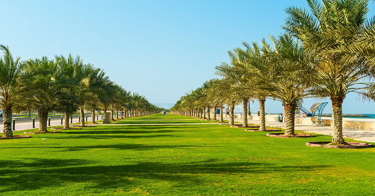 Kalba Corniche Park