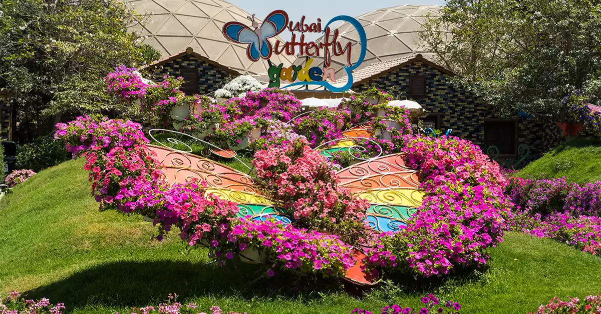 Captivating view of Dubai Butterfly Garden