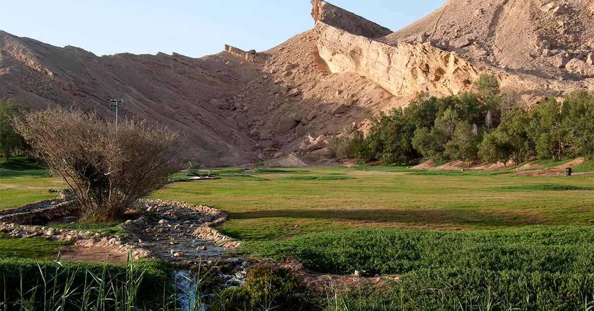 Green Mubazzarah Park in Al Ain