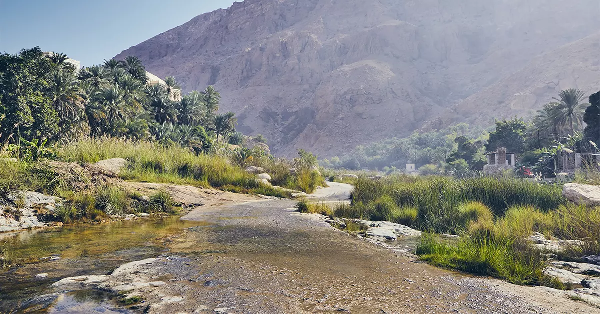 منتزه وادي الوريعة الوطني 