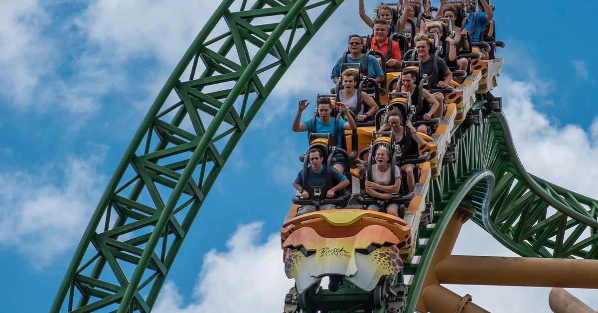 Rollercoaster ride at a park