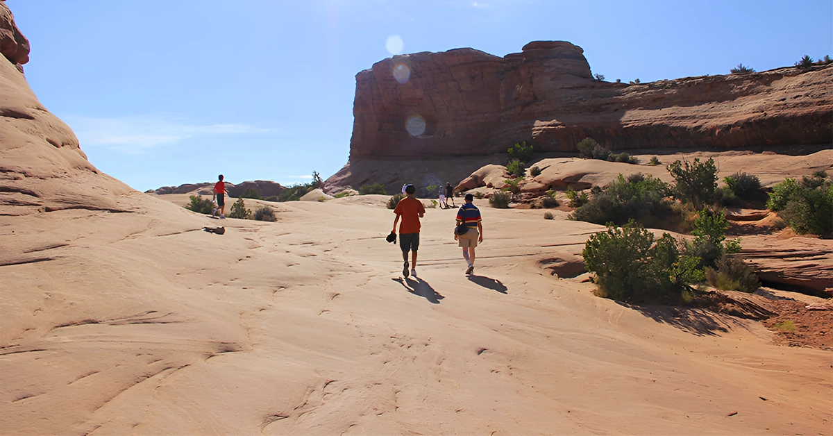 People Exploring the Desert 