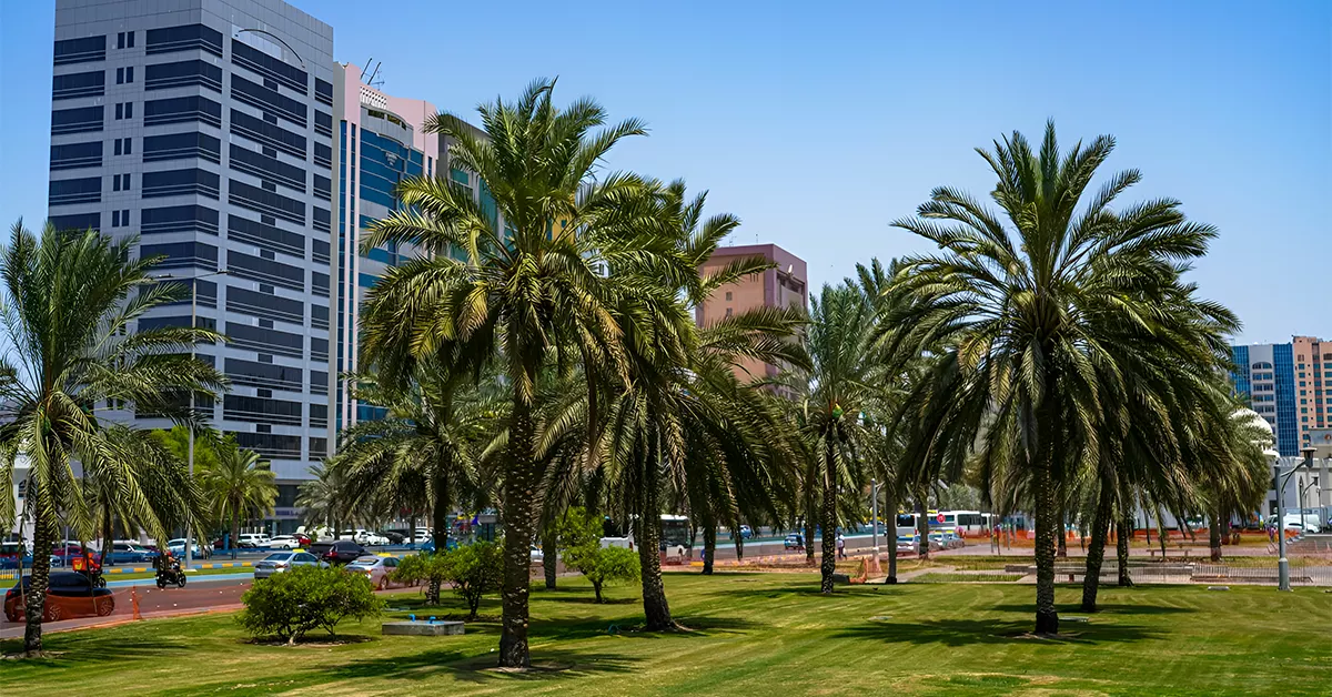 Park in Madinat Zayed
