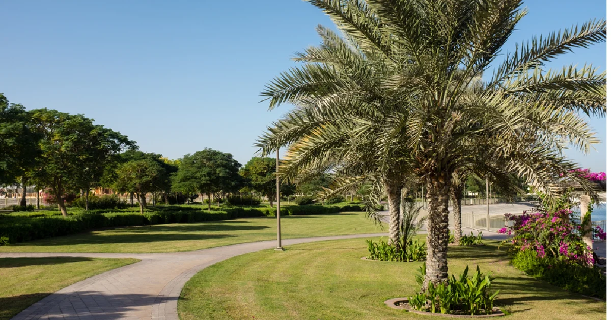 Al Barsha South Park