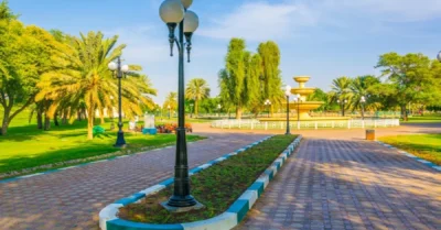 Hili Oasis