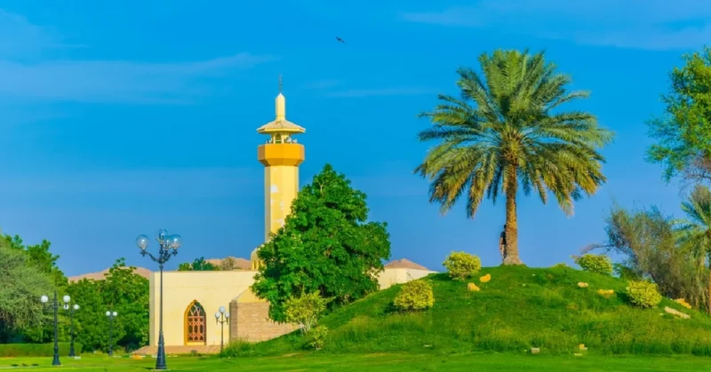 Hili Oasis 
