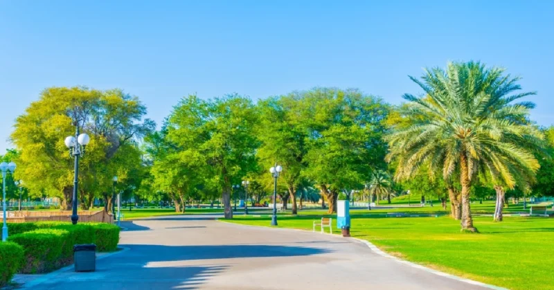 حدائق في الامارات