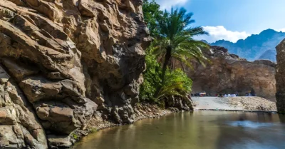 Wadi Shees